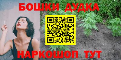 прущие грибы Краснокаменск