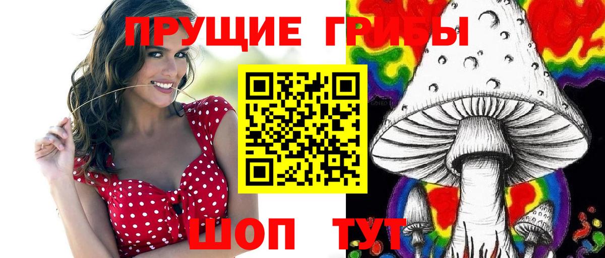 Галлюциногенные грибы GOLDEN TEACHER  Вход с VPN  Ессентуки  Галлюциногенные грибы Psilocybine cubensis 