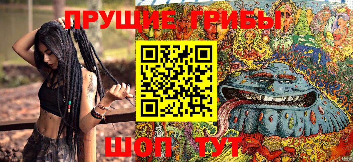 Псилоцибиновые грибы Cubensis Ессентуки